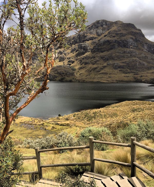 Ecuador-Quiz: Wie viel wissen Sie über dieses wunderschöne südamerikanische Land?