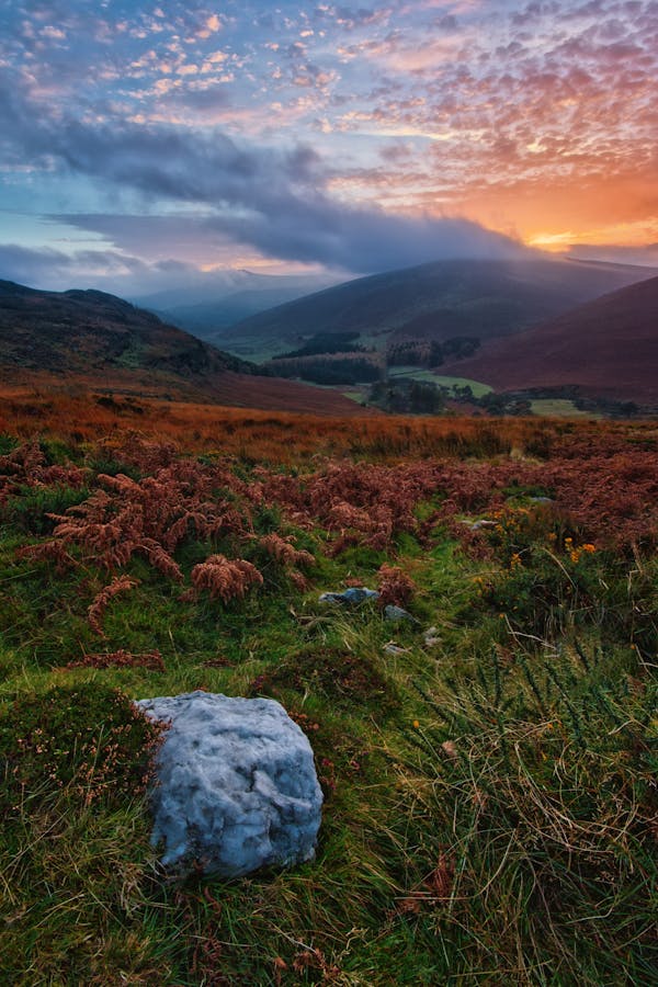 Irland-Quiz: Wie viel wissen Sie über dieses keltische Land?