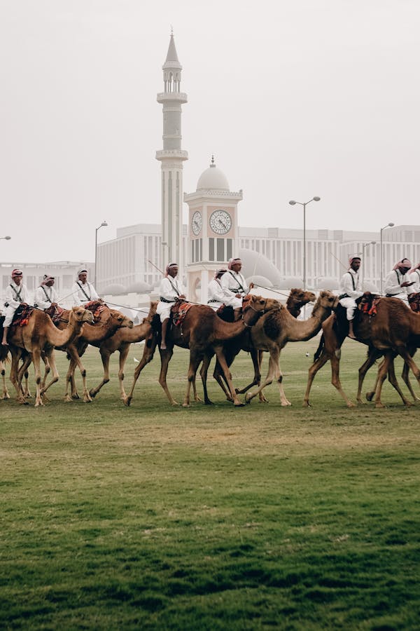 Quiz über Doha, Katar: Wie gut kennst du diese Stadt?